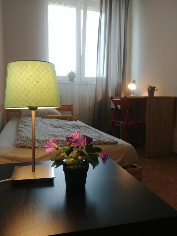 Near Main Railway And Bus Station Apartment Brno Bagian luar foto